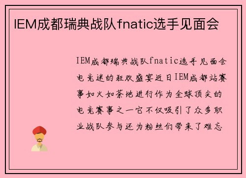 IEM成都瑞典战队fnatic选手见面会